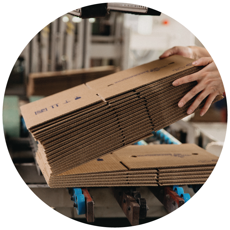 A person holding a stack of flattened corrugated boxes