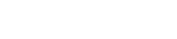 BradyPLUS of Tyler logo white