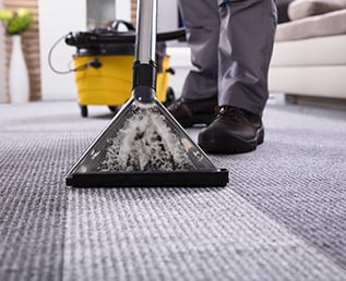 a janitor deep cleaning carpet