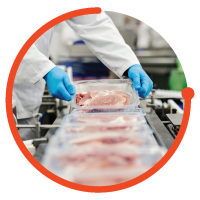 efficiency food packing process automation line