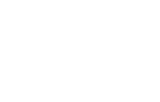 PJP endorsed logo in white