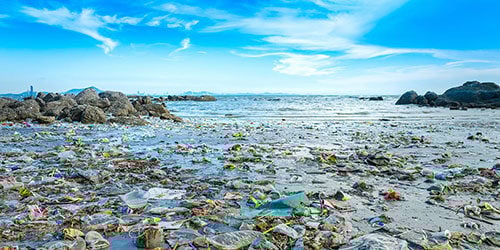 A CA shore filled with plastic and other waste