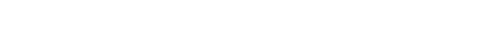 STRANFLEX logo in white