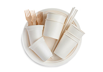 foodservice disposables